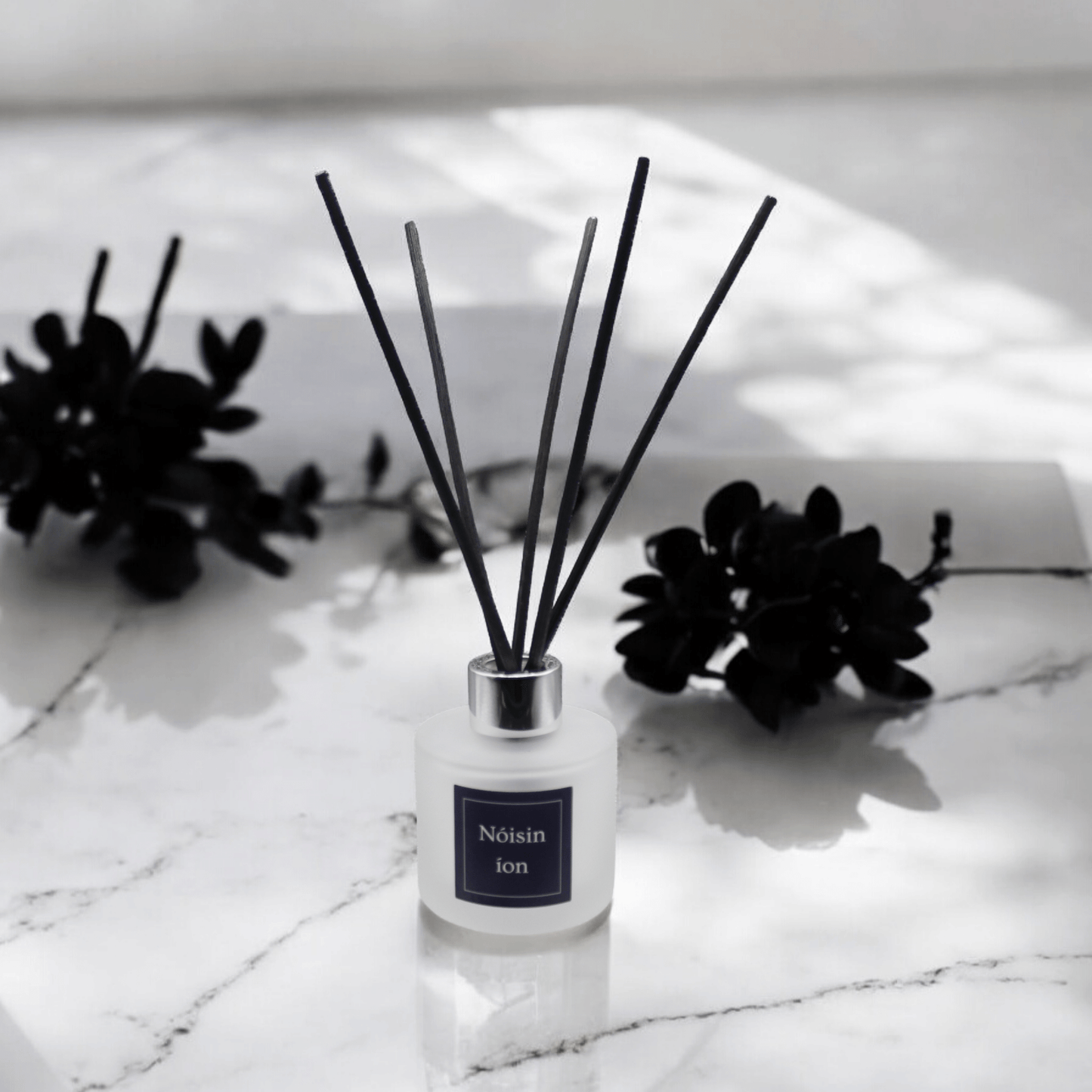 Midnight Bloom Reed Diffuser - Nóisin íon