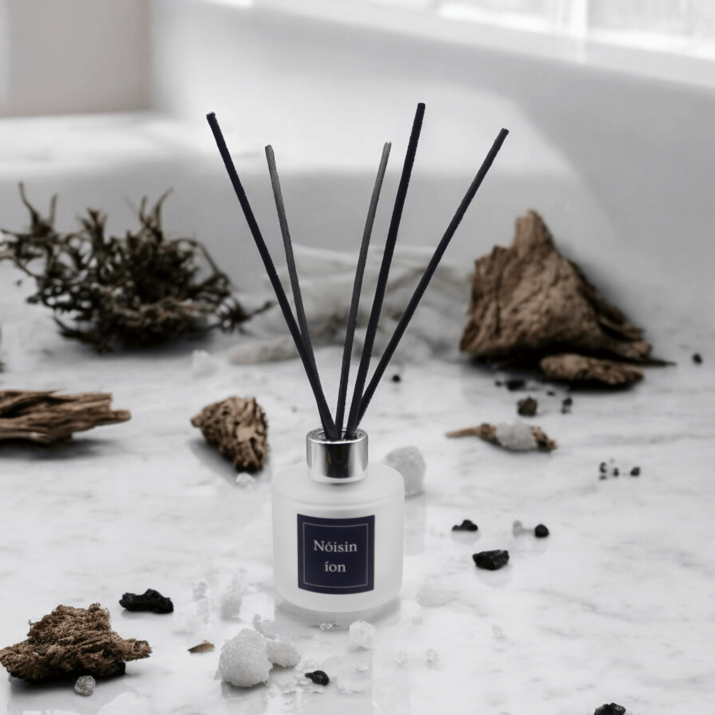 Tides & Timber Reed Diffuser - Nóisin íon