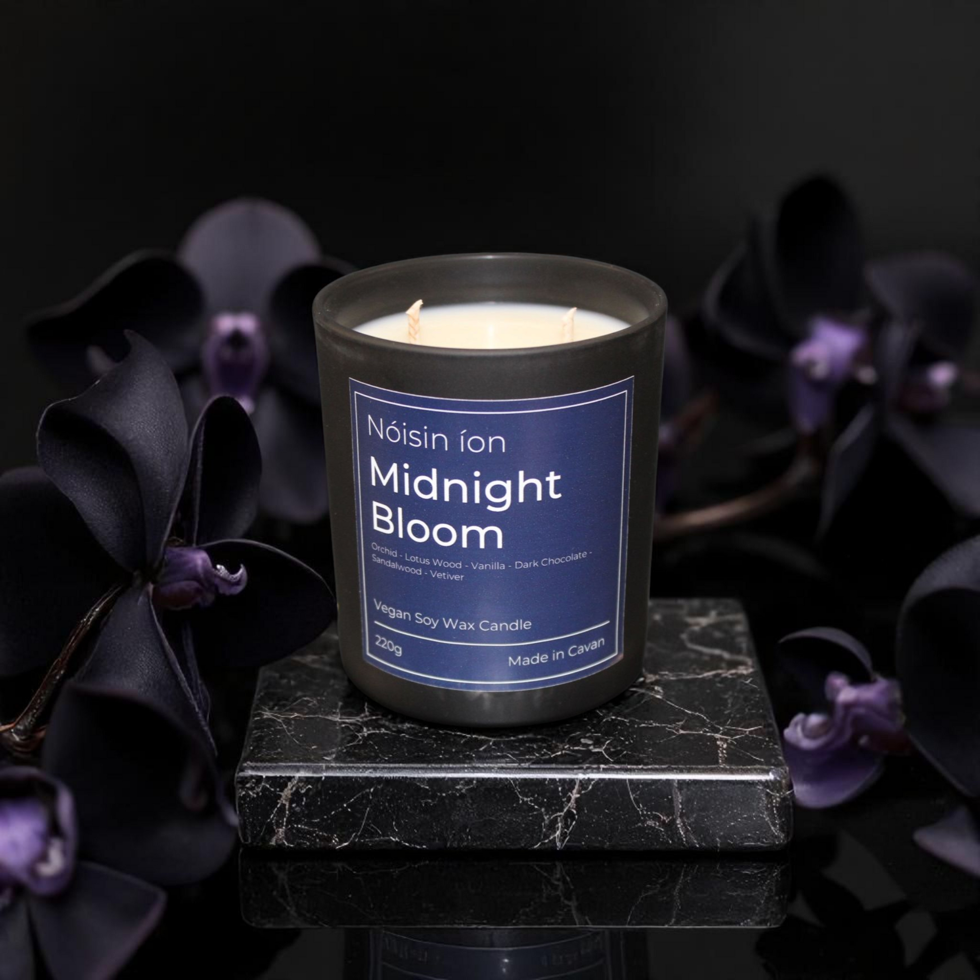 Midnight Bloom