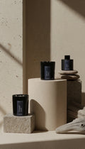 The Forest & Shore Collection