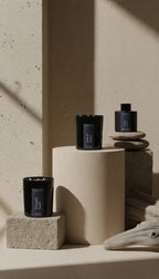 The Forest & Shore Collection